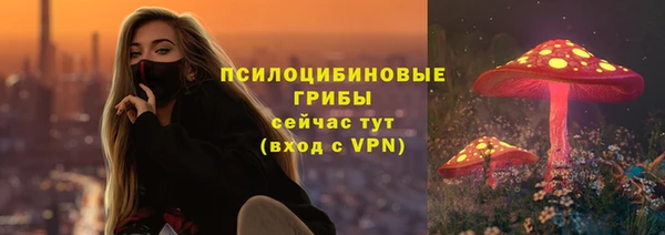 дурь Каменногорск
