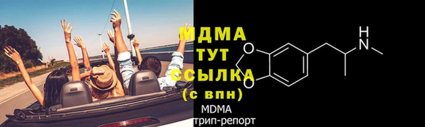 мдпв Инсар